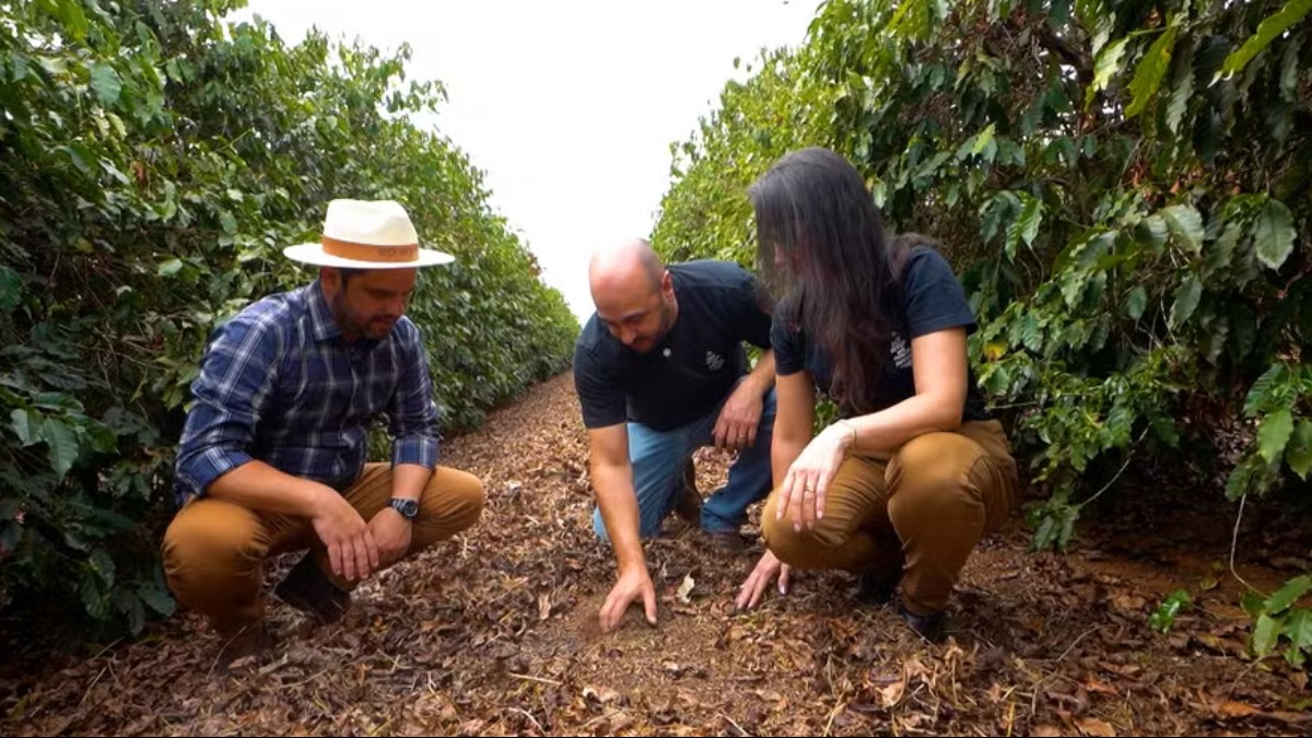 agricultura regenerativa