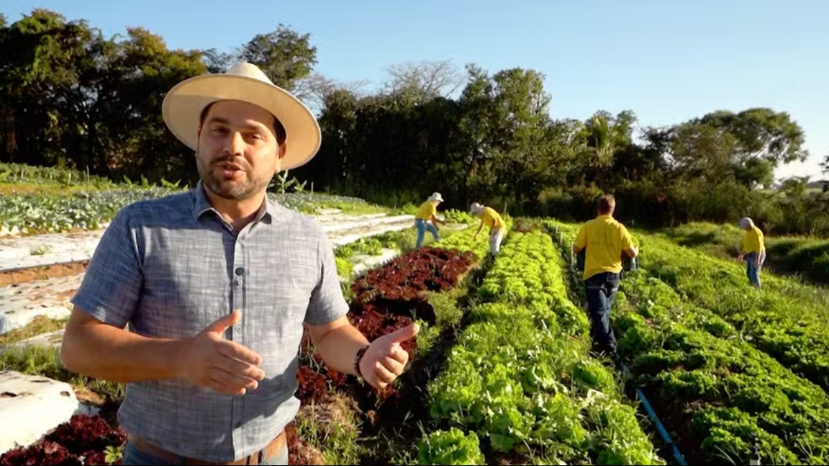 sistema participativo