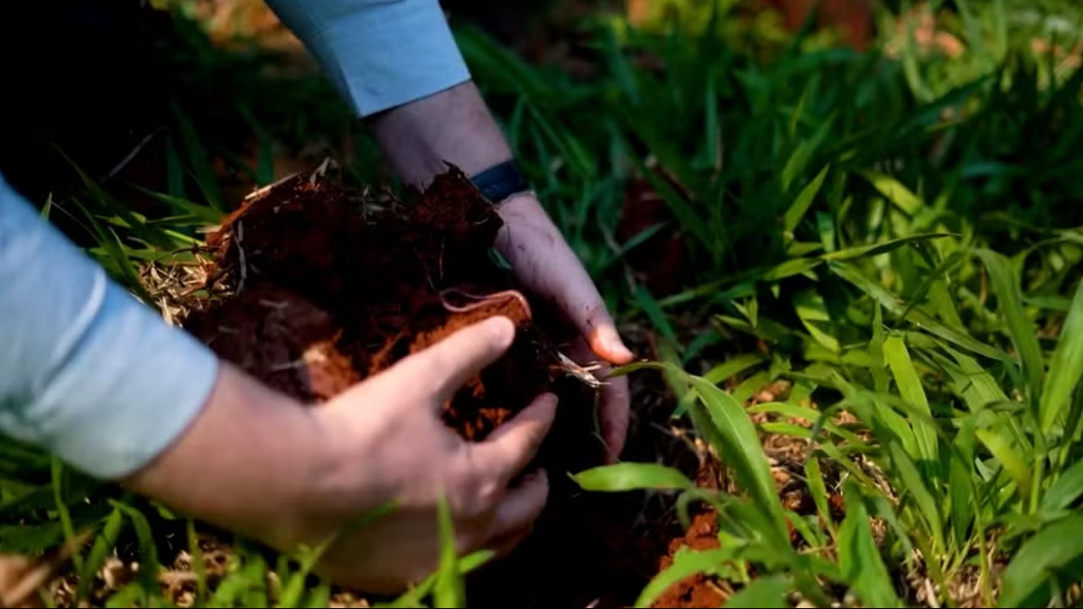 Conhecida como Capital do Agro