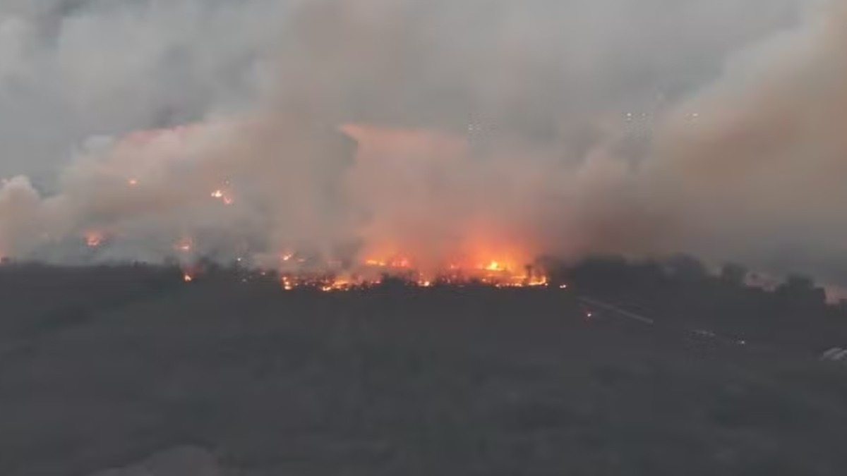 Estação ecológica de Jataí volta