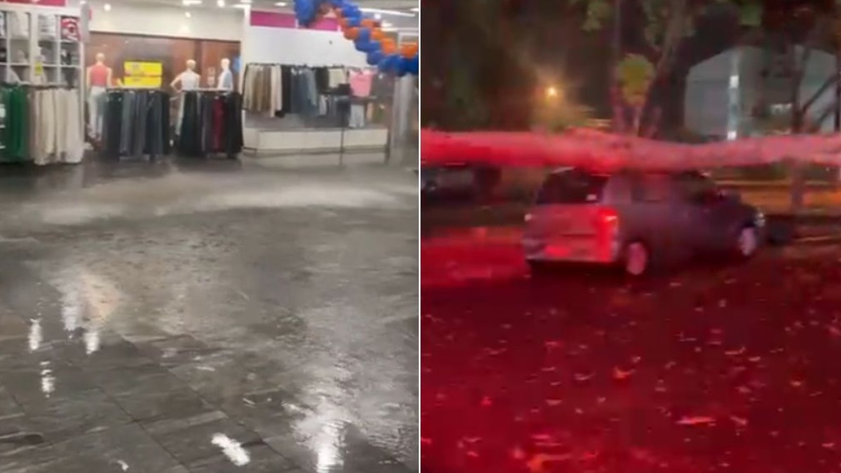 destelhamento loja Franca