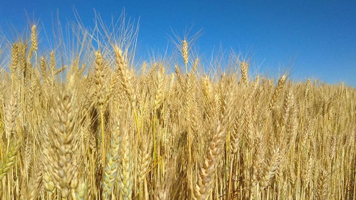 Secretaria de Meio Ambiente passará a