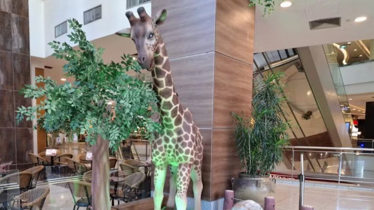 ShoppingSantaÚrsula tem programação especial para toda