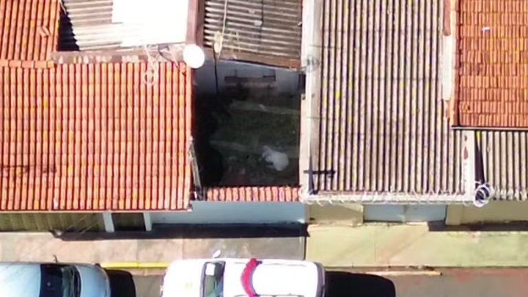 IML conclui exumação de cachorra de