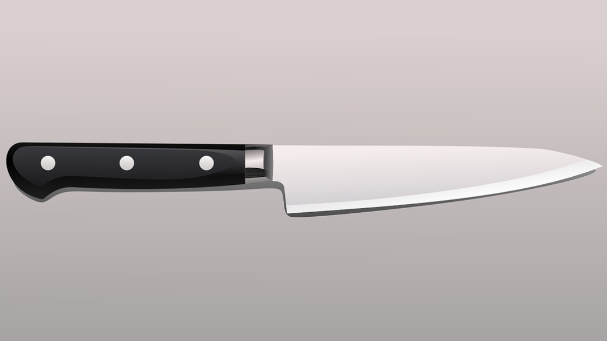 morte cachorro vizinho