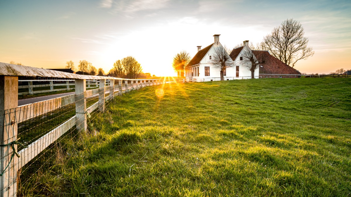 Projeto de lei que permite o