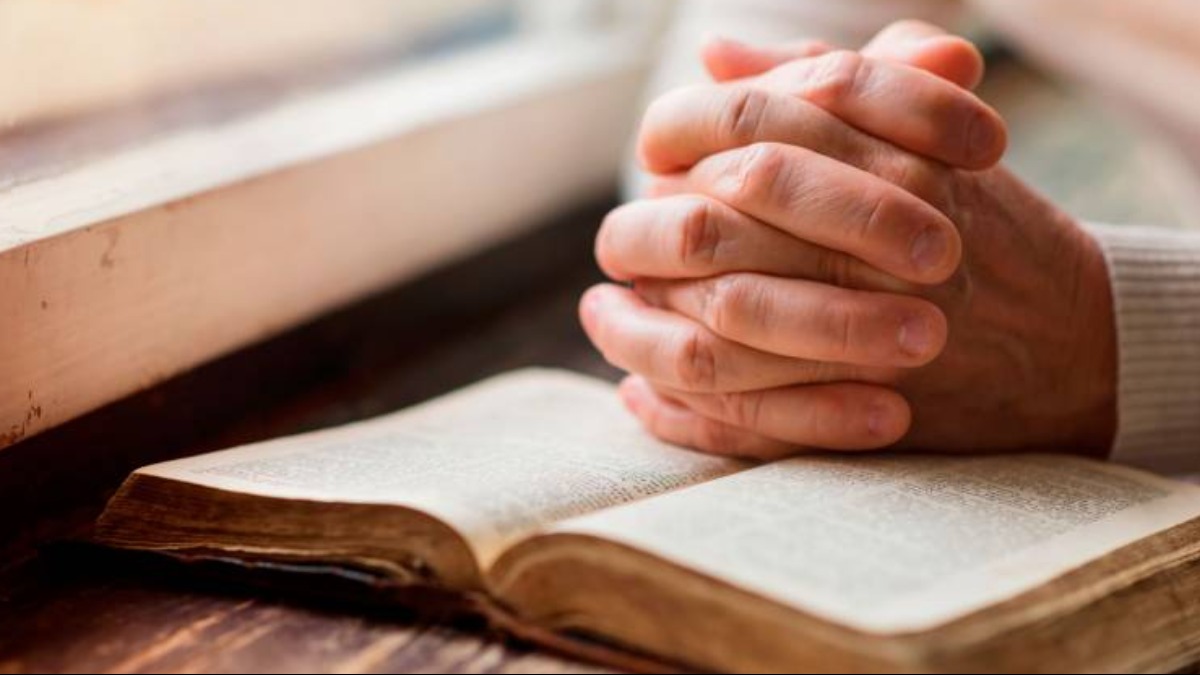 Aumentam os registros de artigos científicos