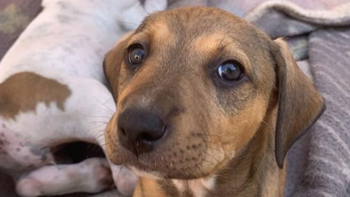 Concessionária da região de Ribeirão Preto