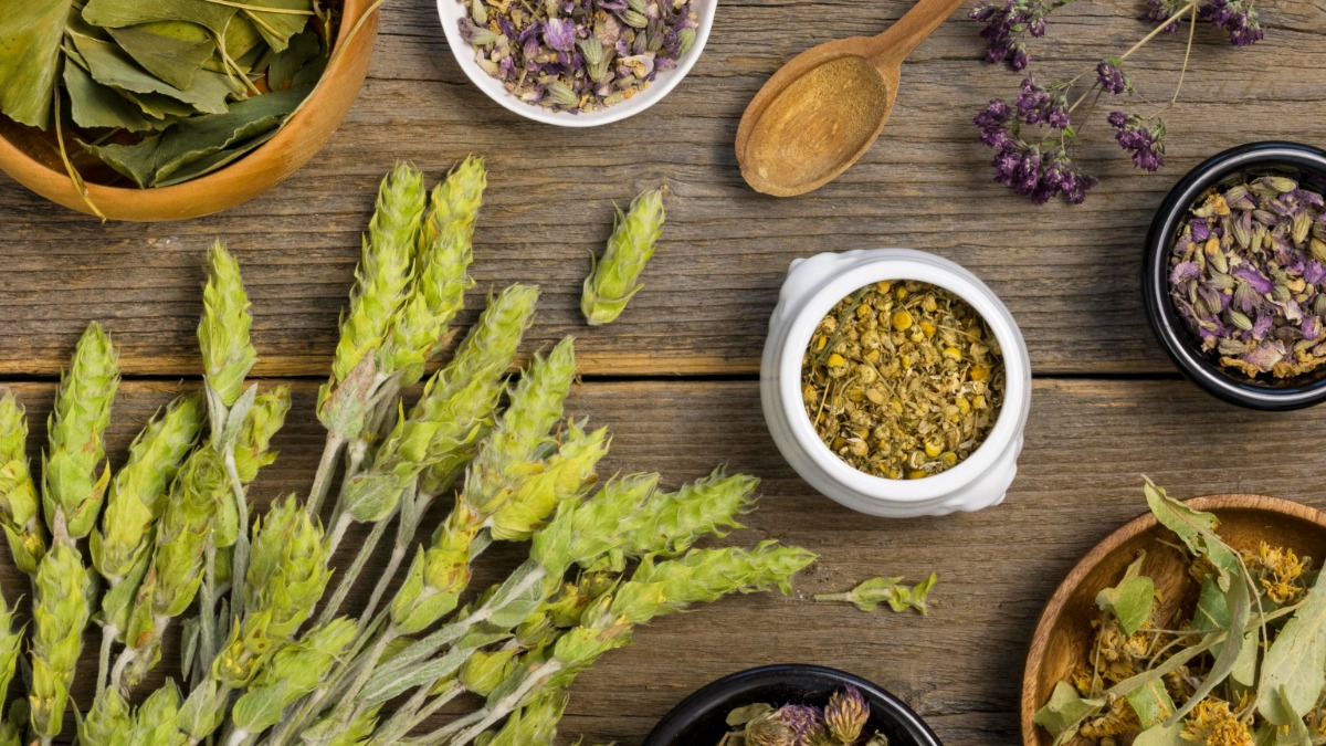 Farmácia da Natureza