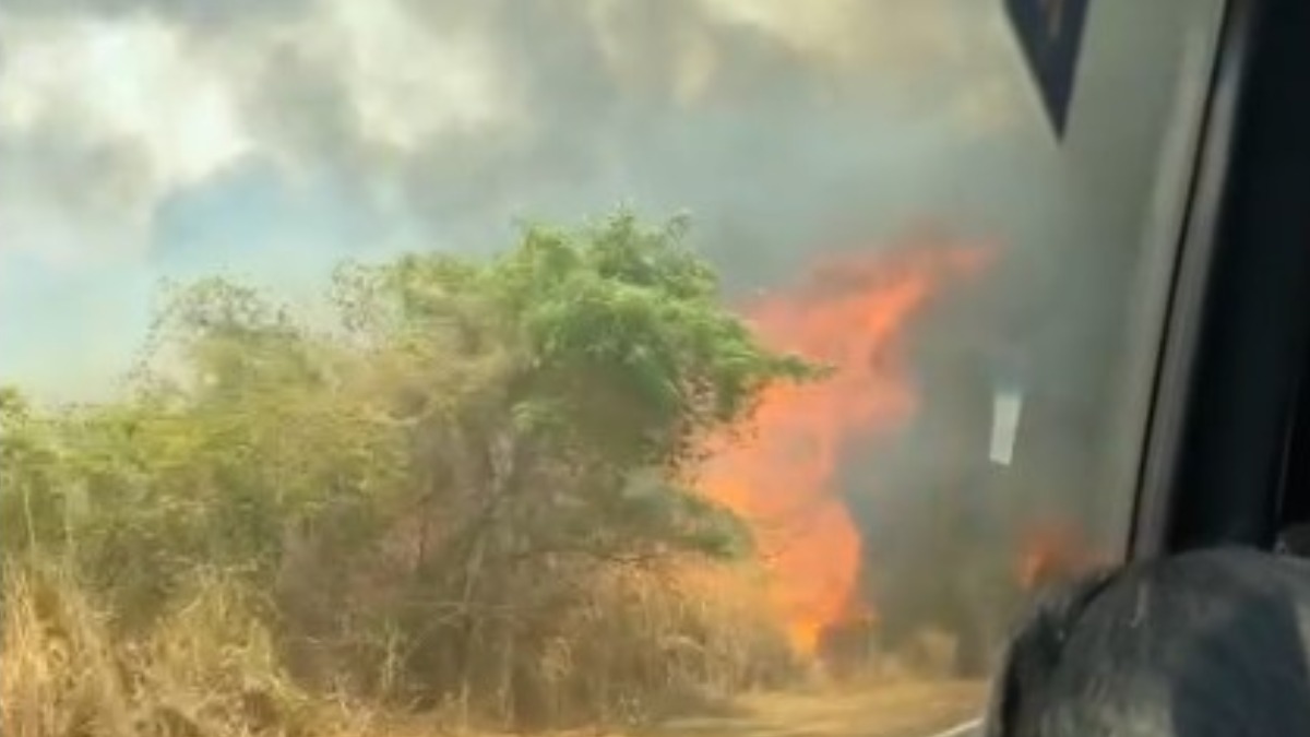 incêndios Ribeirão Preto