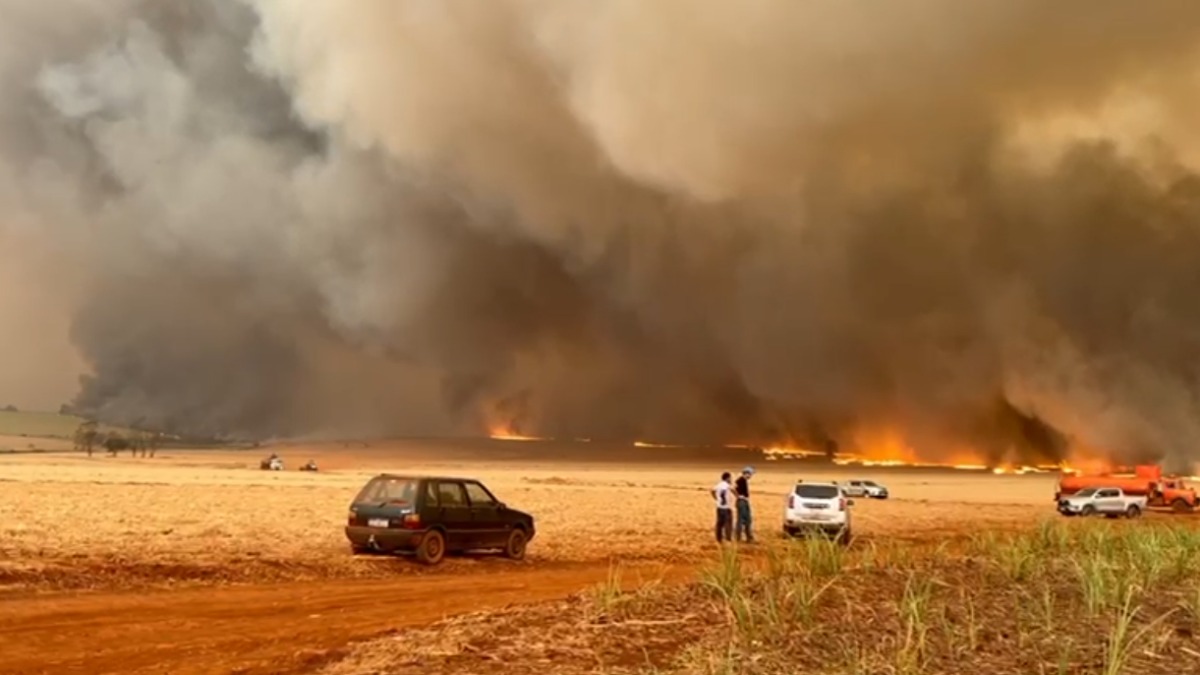 incêndios interior SP