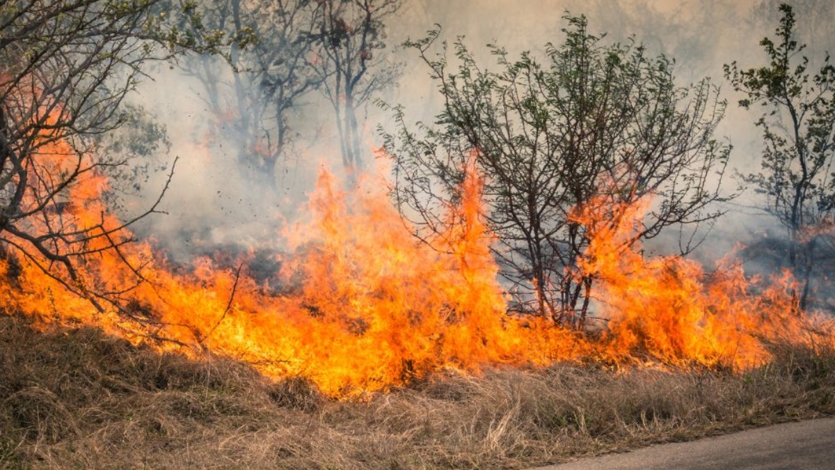 Cidades da região enfrentam focos