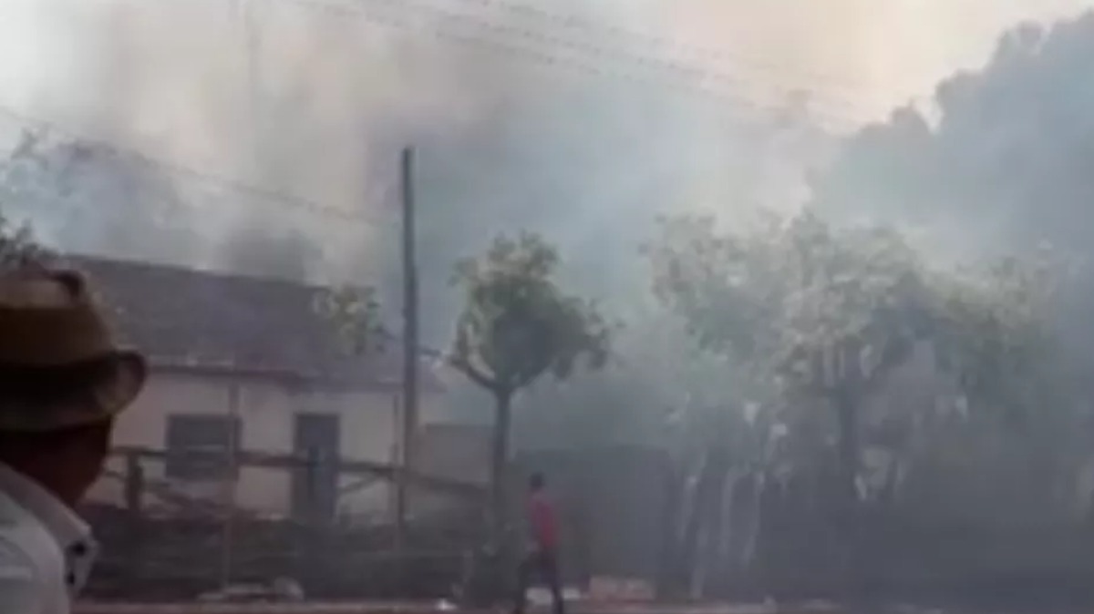 Incêndio em bambuzal