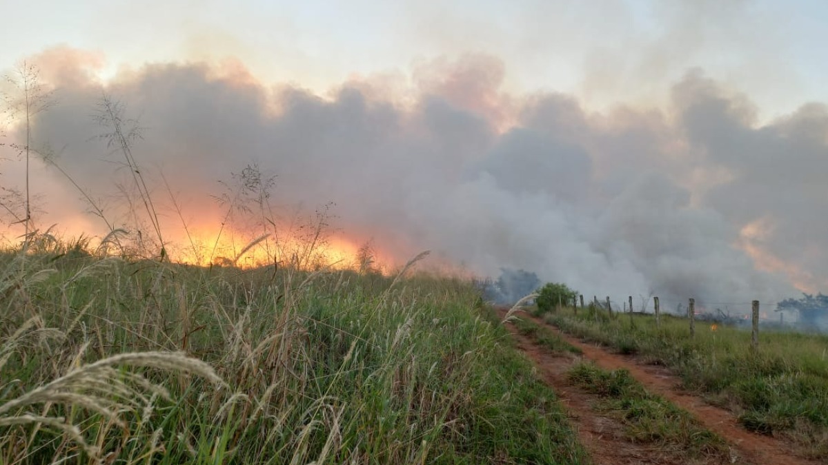 Incêndio atinge área de vegetação natural