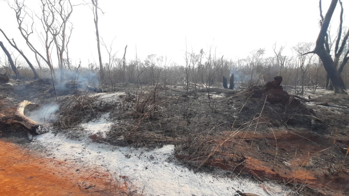 Incêndio destrói grande área na Fazenda