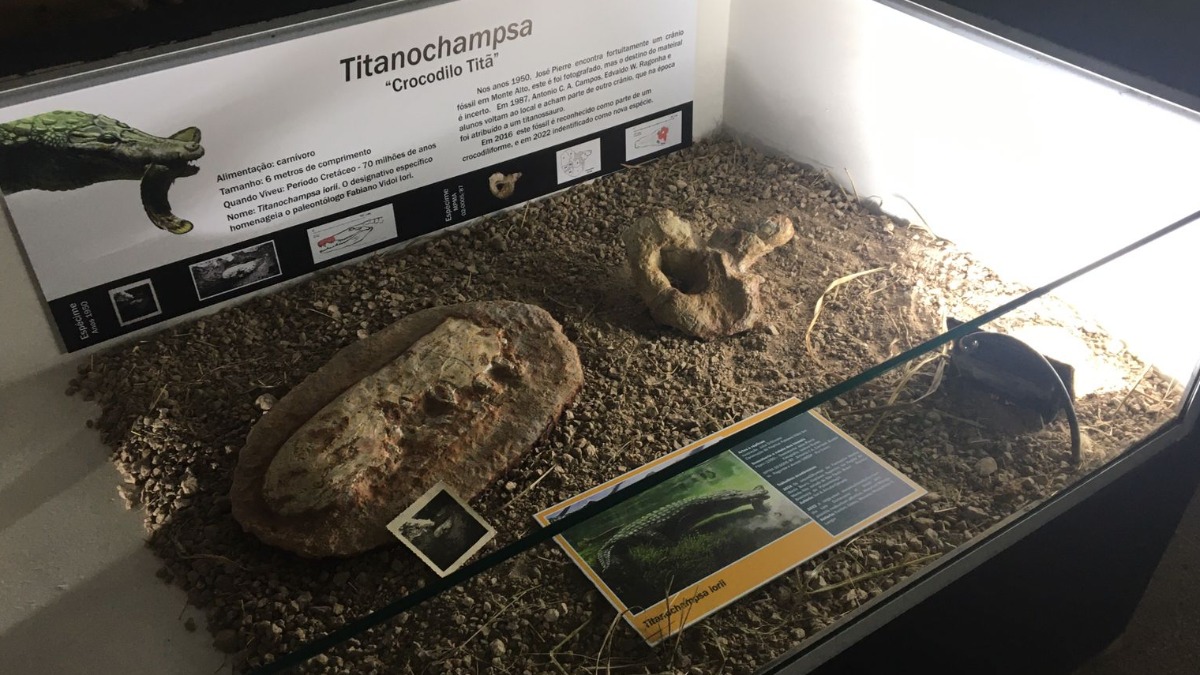 fóssil crocodilo Monte Alto