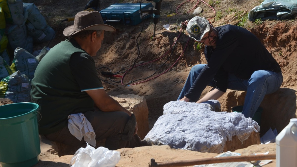 nova espécie dinossauro