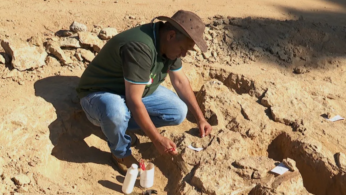 fóssil de Monte Alto