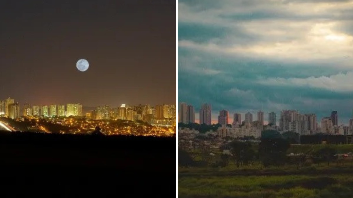 leilão fotografias Ribeirão Preto