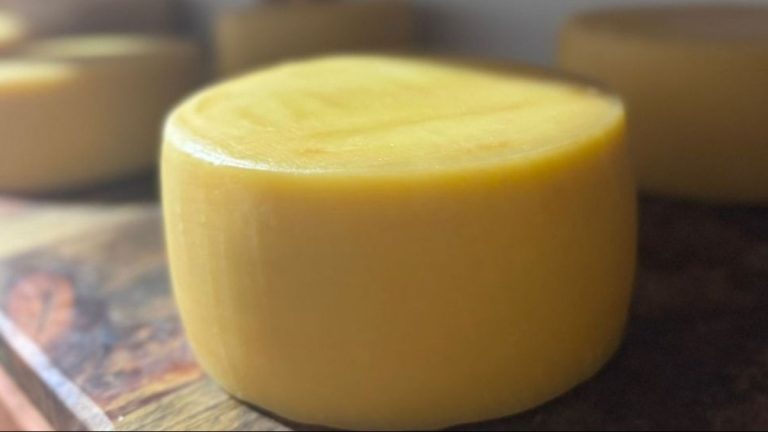 Franca se destaca na ExpoQueijo 2025