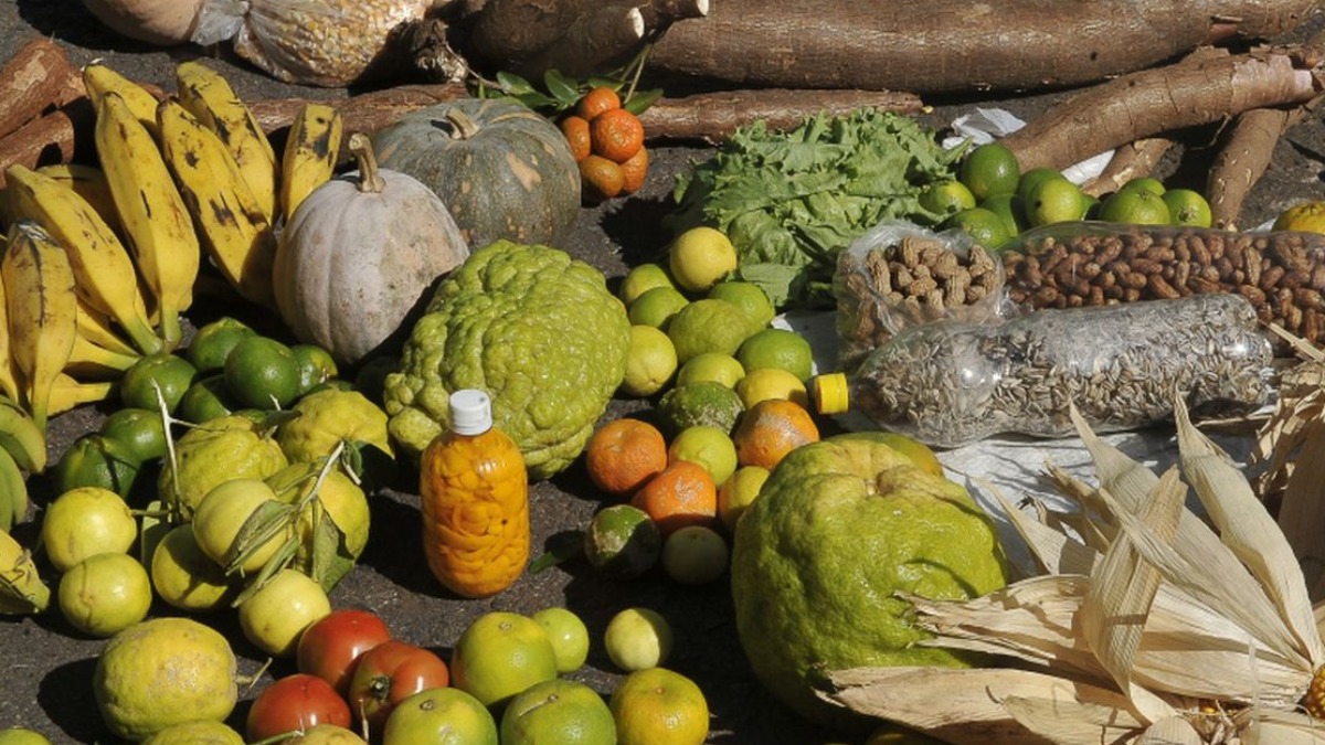 Nutrição é tudo! Boa alimentação é