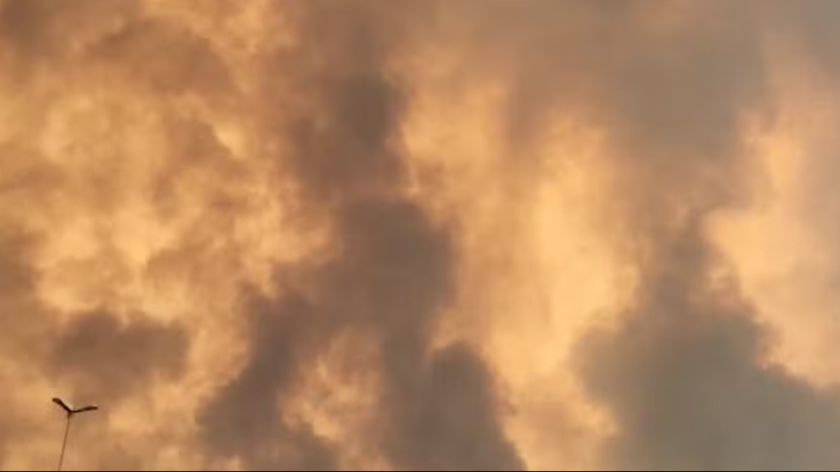 prejuízo produtores cana-de-açúcar