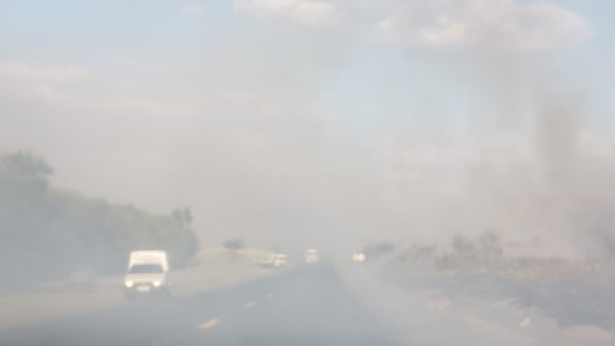 incêndios descarte bitucas