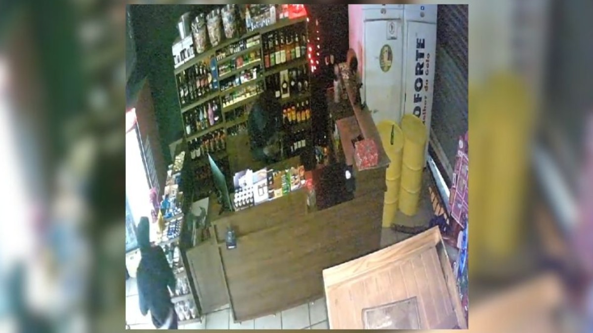 Criminosos furtam adega na avenida Brasil