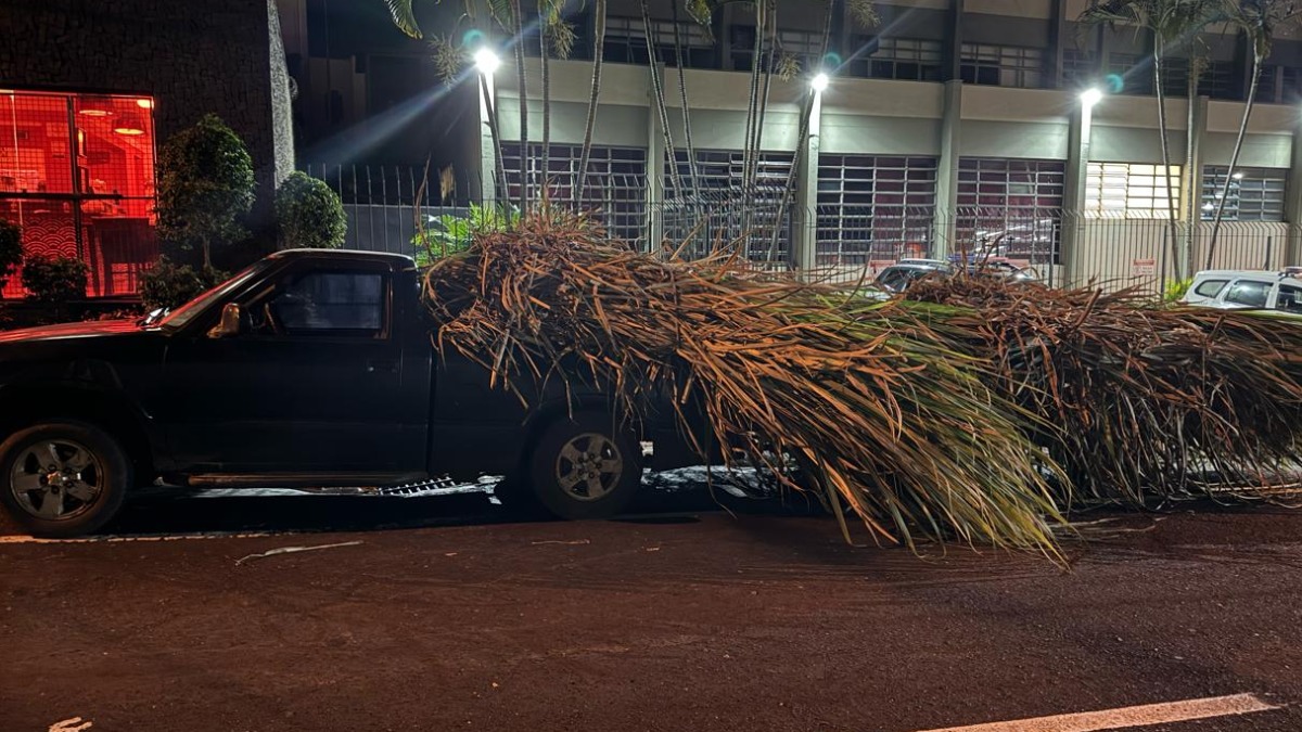 Dois homens são presos após tentarem