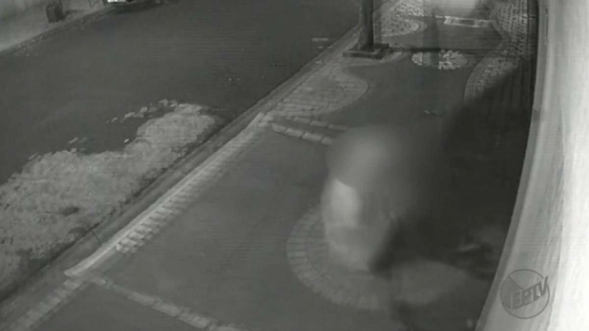 Dupla força portão eletrônico e furta