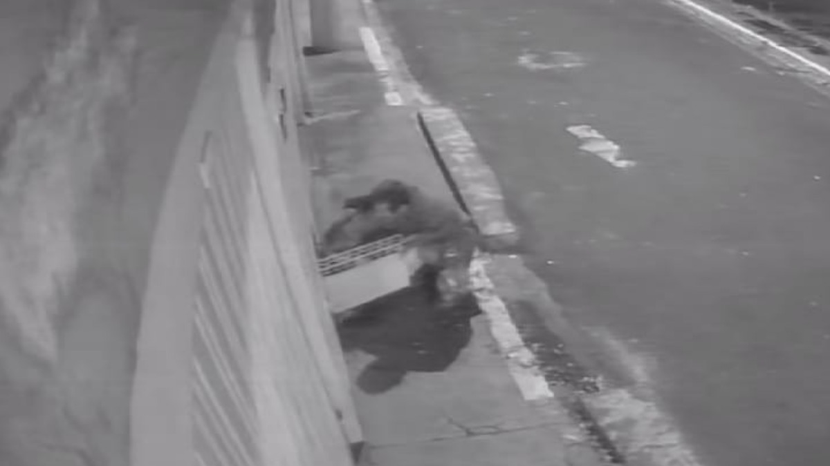 furtos na Avenida Caramuru