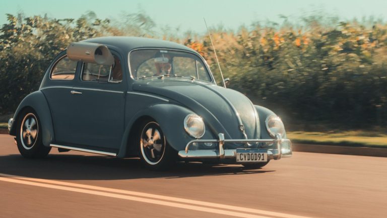 Região de Ribeirão Preto recebe exposição