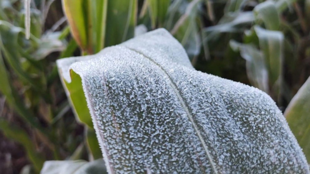 queda de temperatura