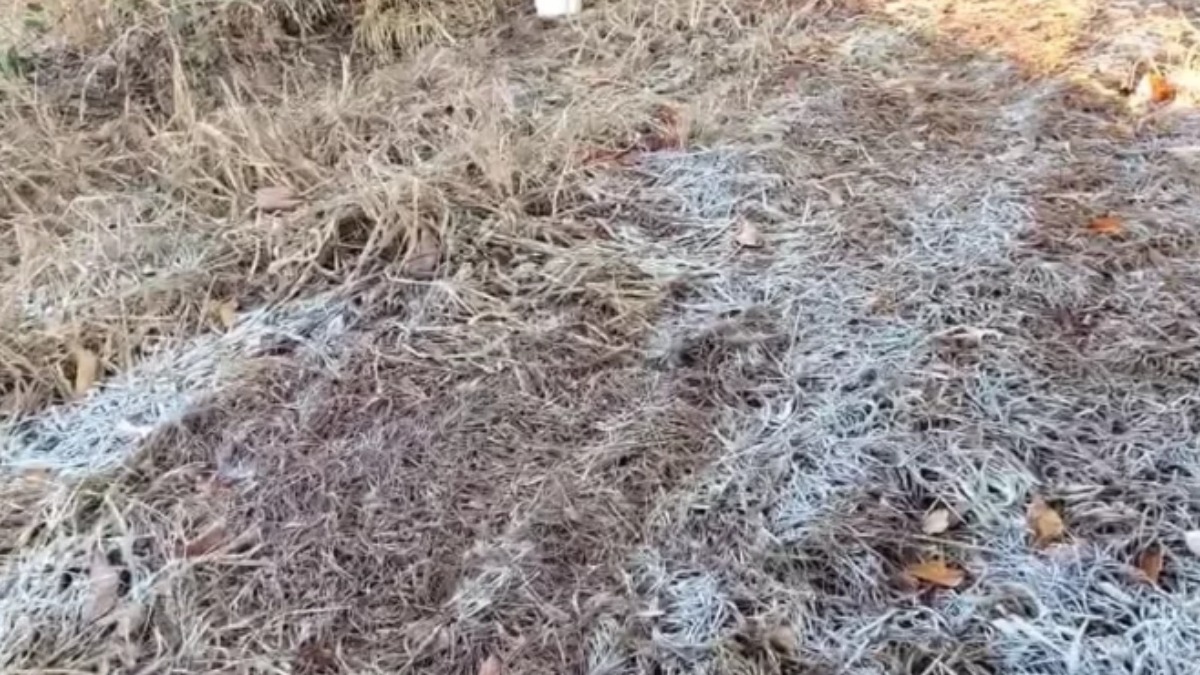 geada no interior de SP