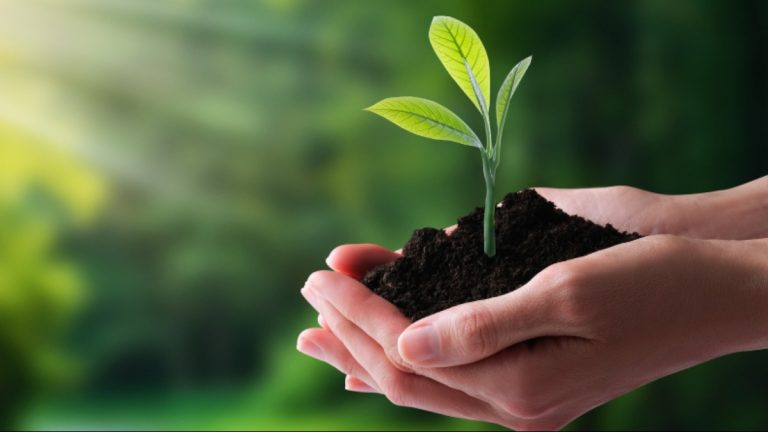 Pesquisa aponta que degradação ambiental afeta