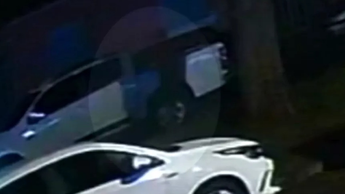 Prisão dentista Franca