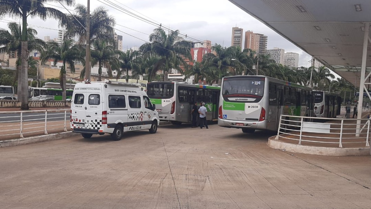 atropelamento ônibus Ribeirão