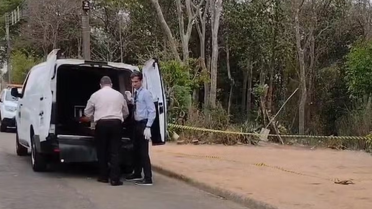 Homem morre atingido por um galho