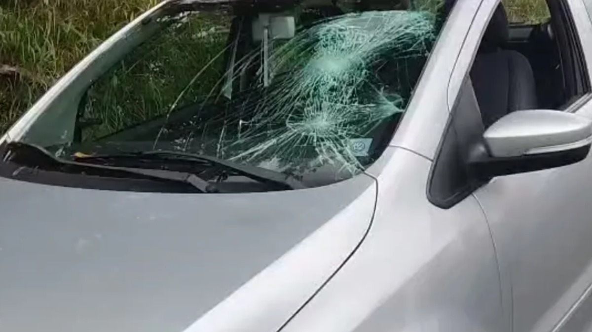 atropelamento faixa pedestres