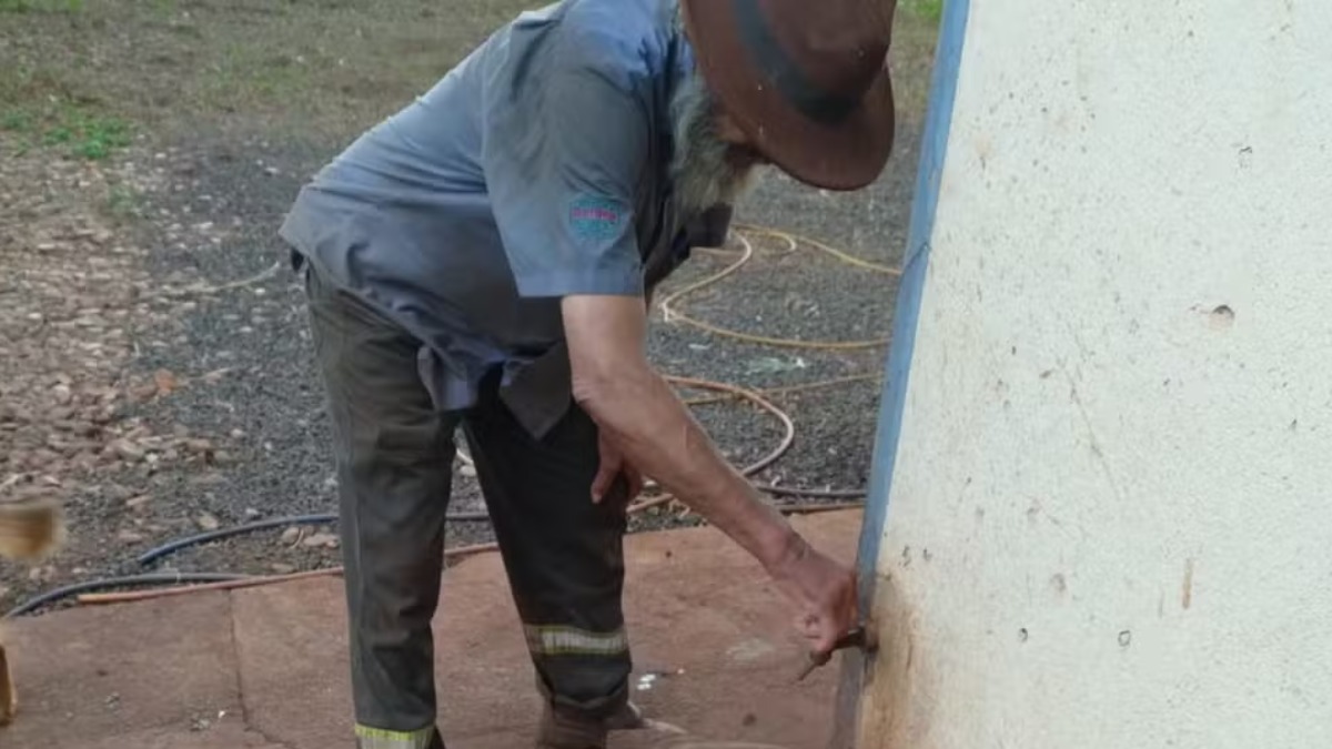 Caseiro de 71 anos é resgatado