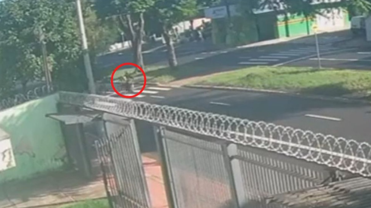 Idoso de 84 anos morre após