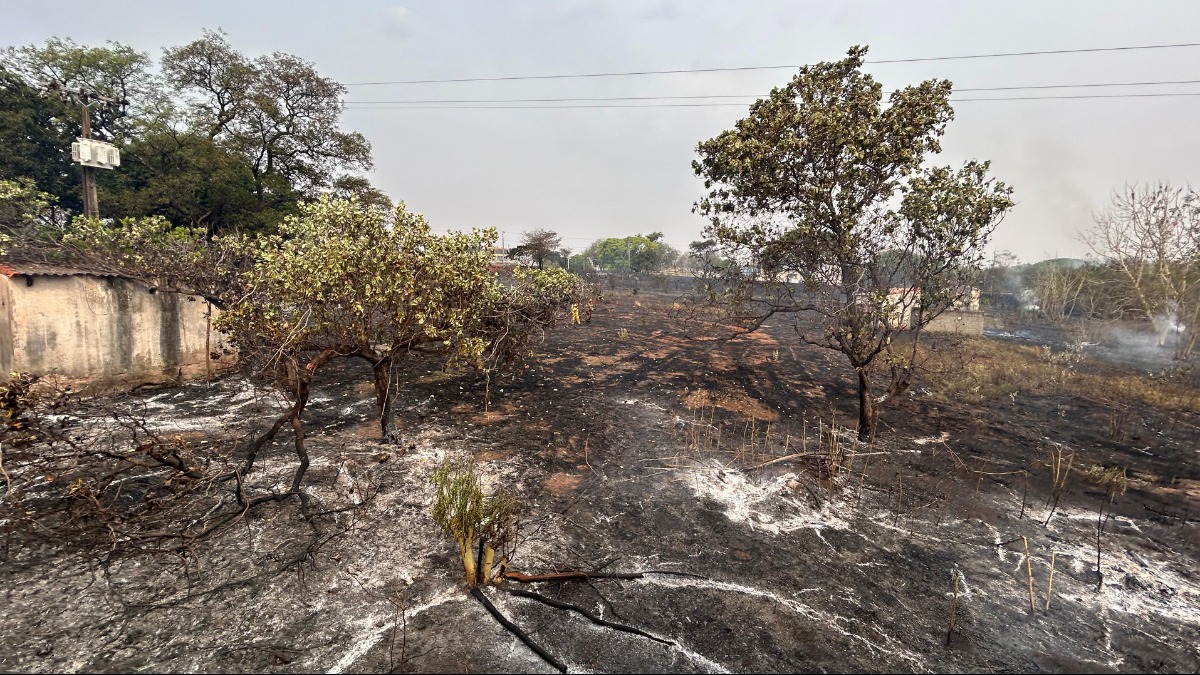 Incêndio Ribeirão Preto