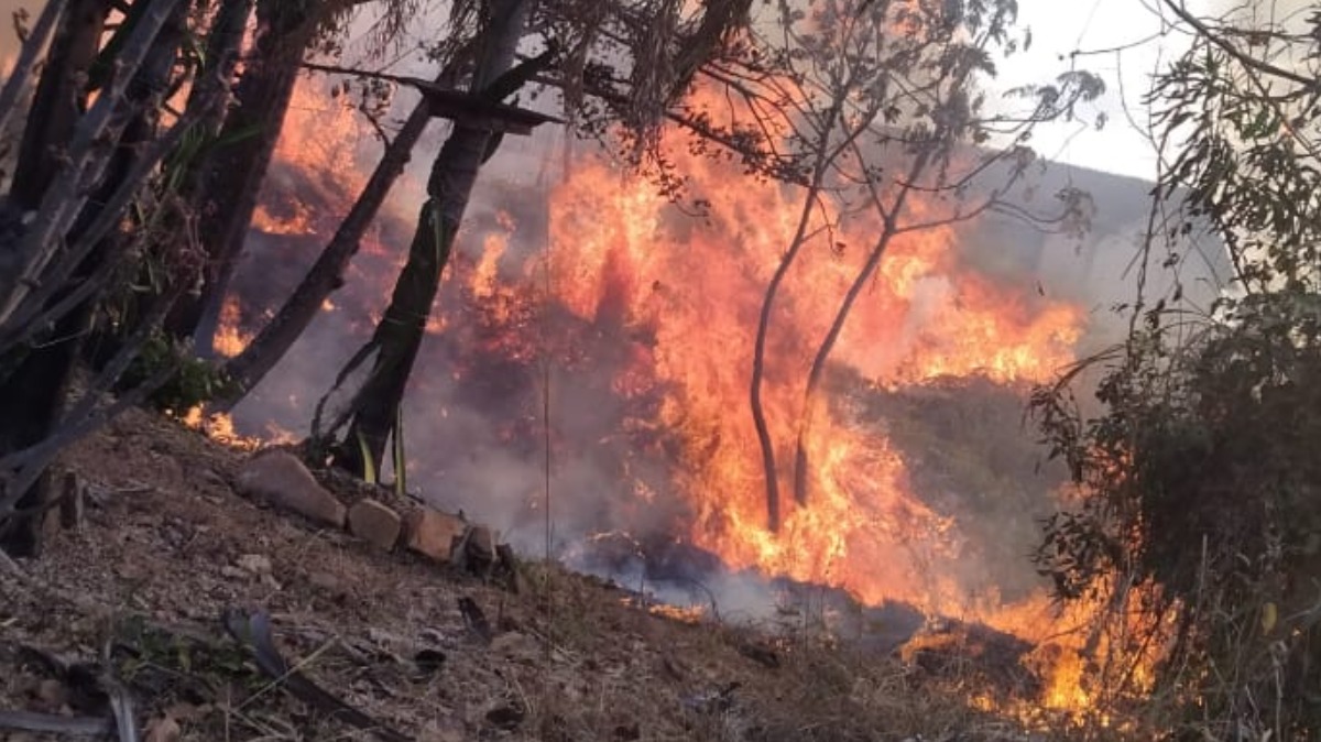 incêndios Ribeirão Preto