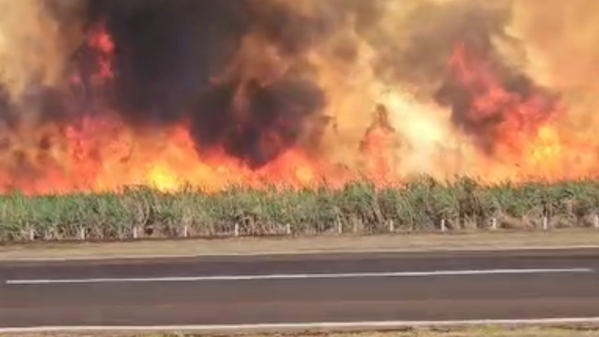 incêndios São Paulo