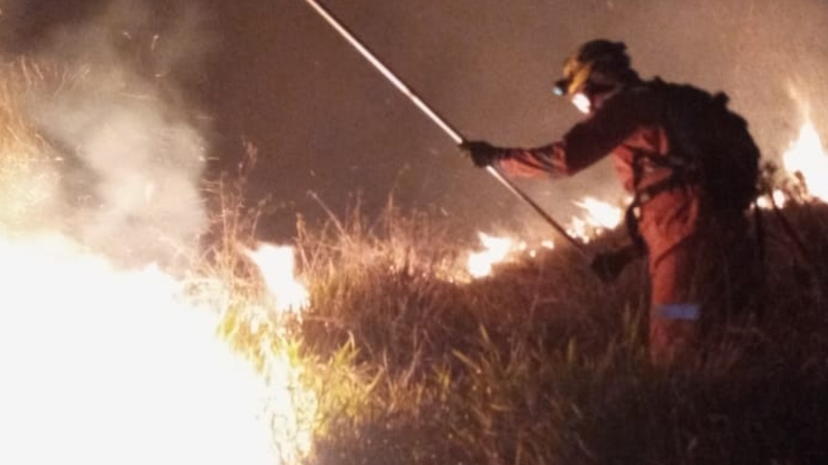 fundação florestal