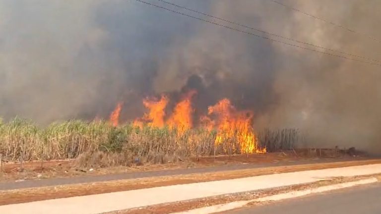 Moradores de assentamento de Ribeirão Preto
