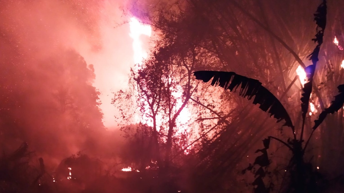 incêndios florestais