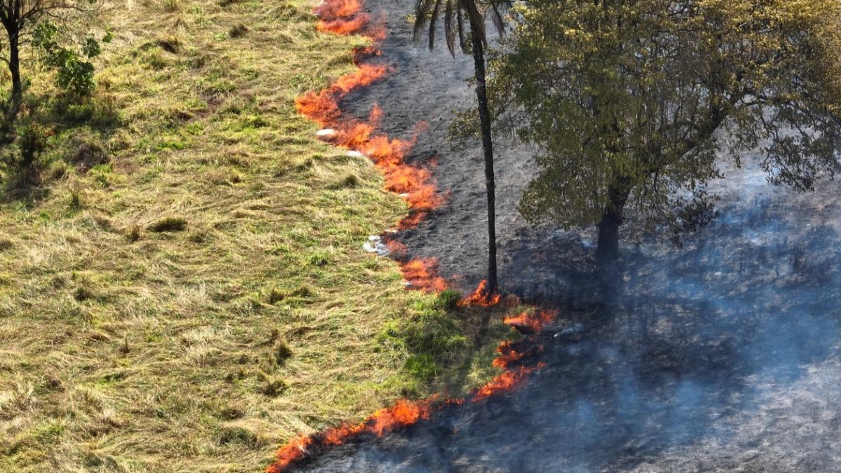 incêndios em Franca