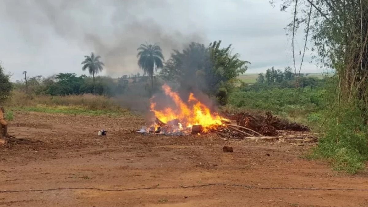 incêndios criminosos