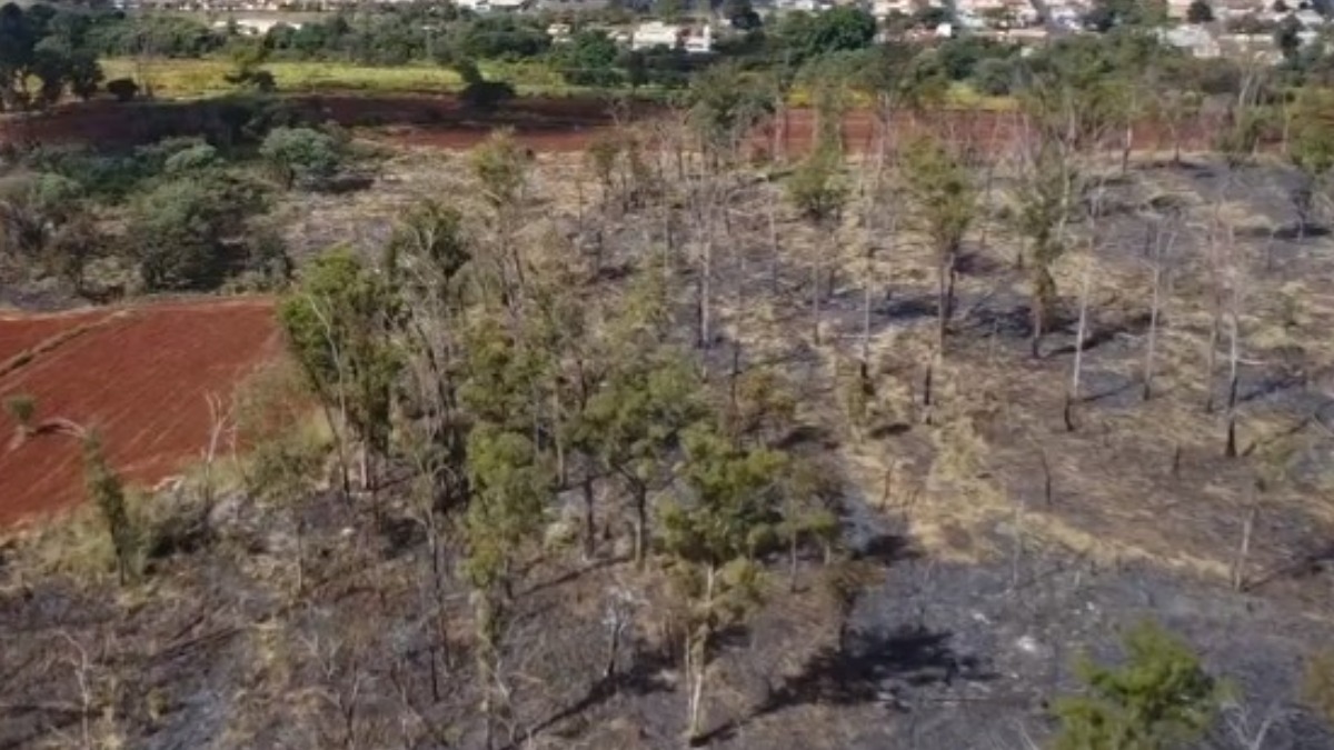 queimadas São Paulo